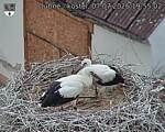 Capi_Dubne_20260707_195502.jpg