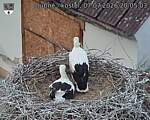 Capi_Dubne_20260707_200503.jpg