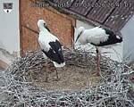Capi_Dubne_20260707_204003.jpg