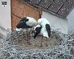 Capi_Dubne_20260707_210504.jpg