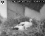 Capi_Dubne_20260707_213002.jpg