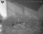 Capi_Dubne_20260707_221503.jpg