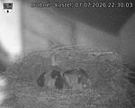 Capi_Dubne_20260707_223003.jpg