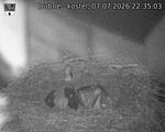 Capi_Dubne_20260707_223503.jpg