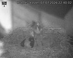 Capi_Dubne_20260707_224002.jpg