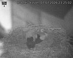 Capi_Dubne_20260707_232502.jpg