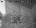 Capi_Dubne_20260707_233502.jpg