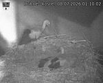Capi_Dubne_20260708_011002.jpg