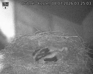 preload