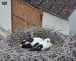 Capi_Dubne_20260708_072504.jpg