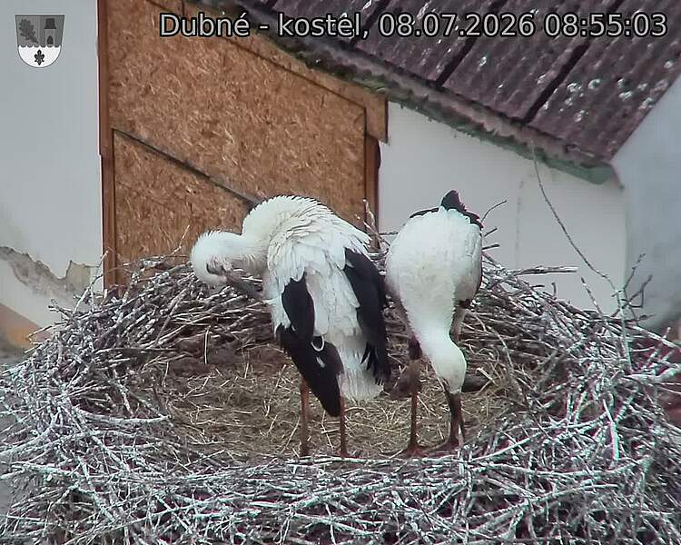 preload