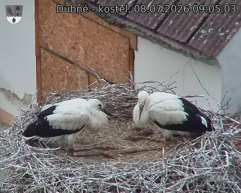 preload