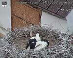 Capi_Dubne_20260708_104003.jpg