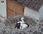 Capi_Dubne_20260708_104503.jpg