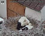 Capi_Dubne_20260708_110503.jpg
