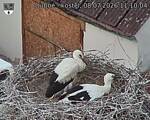 Capi_Dubne_20260708_111004.jpg