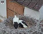 Capi_Dubne_20260708_112503.jpg