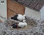 Capi_Dubne_20260708_115503.jpg