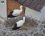 Capi_Dubne_20260708_122003.jpg