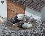 Capi_Dubne_20260708_123003.jpg