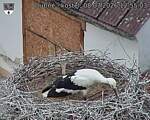 Capi_Dubne_20260708_125503.jpg