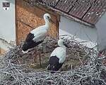 Capi_Dubne_20260708_132503.jpg
