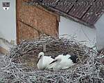 Capi_Dubne_20260708_134003.jpg