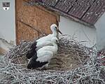 Capi_Dubne_20260708_140003.jpg
