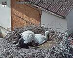 Capi_Dubne_20260708_142003.jpg
