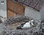 Capi_Dubne_20260708_150503.jpg