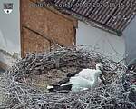 Capi_Dubne_20260708_151503.jpg
