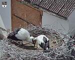 Capi_Dubne_20260708_152503.jpg