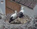 Capi_Dubne_20260708_154003.jpg