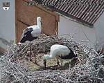 Capi_Dubne_20260708_160503.jpg