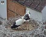 Capi_Dubne_20260708_163503.jpg
