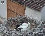 Capi_Dubne_20260708_165003.jpg
