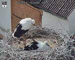 Capi_Dubne_20260708_170003.jpg