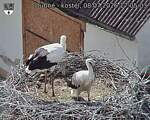 Capi_Dubne_20260708_170503.jpg