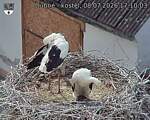 Capi_Dubne_20260708_171003.jpg