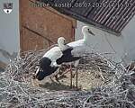 Capi_Dubne_20260708_171503.jpg