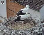 Capi_Dubne_20260708_172503.jpg