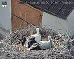 Capi_Dubne_20260708_174003.jpg