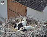 Capi_Dubne_20260708_174503.jpg