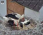 Capi_Dubne_20260708_175503.jpg