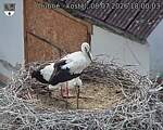 Capi_Dubne_20260708_180003.jpg