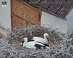 Capi_Dubne_20260708_182503.jpg