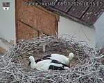 Capi_Dubne_20260708_183503.jpg