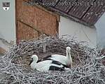 Capi_Dubne_20260708_184004.jpg