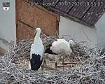 Capi_Dubne_20260708_185503.jpg