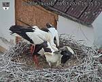 Capi_Dubne_20260708_193503.jpg